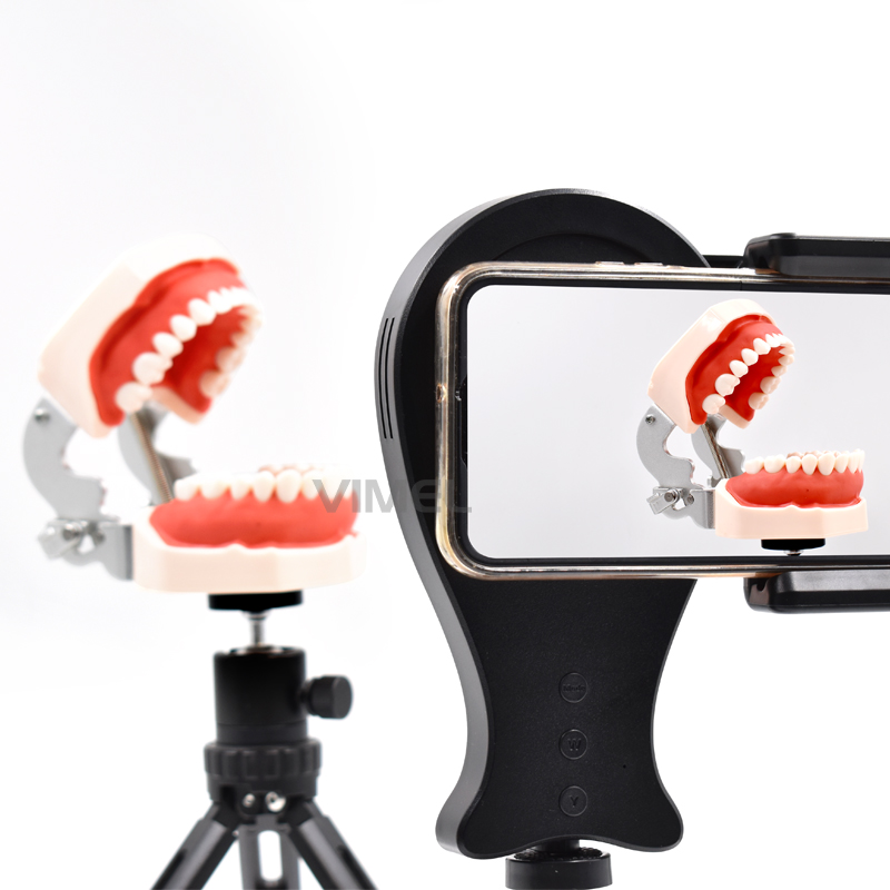 Alat Dokter Gigi HD Lampu Foto - Photography Yellow Light ulasan dan harga